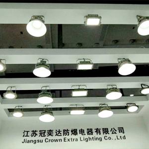 Quality Gas Station Tunnel LED High Bay Explosion Proof Emergency Light 132lm W wholesale