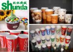 Coffee Tea Disposable Cup Thermoforming Machine High Speed Paper Cup Making