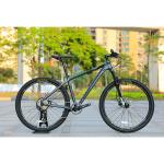 29 Inch Aluminum Full Suspension Mountain Bike with SMN MT200 Hydraulic Disc