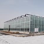 Hydroponic JX-Film Green House for Vegetables Tomato/Cucumber Pepper Flowers and