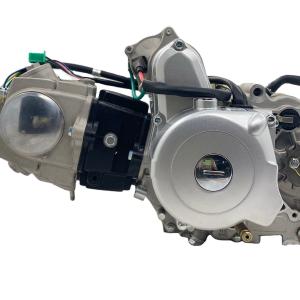 Quality DAYANG 120 Engine Air-cooled Water-cooled Tricycle Motorcycle with 119.7 Displacement wholesale