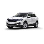 Dongfeng Nissan Venucia T60EV New Energy Vehicle SUV New Car