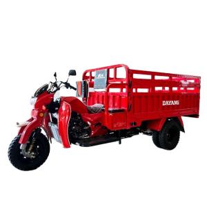 Quality Motorized 200cc Petrol Passenger Tricycle with Super Galaxy Design in South Africa wholesale
