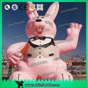 Quality Inflatable Bunny Animal wholesale