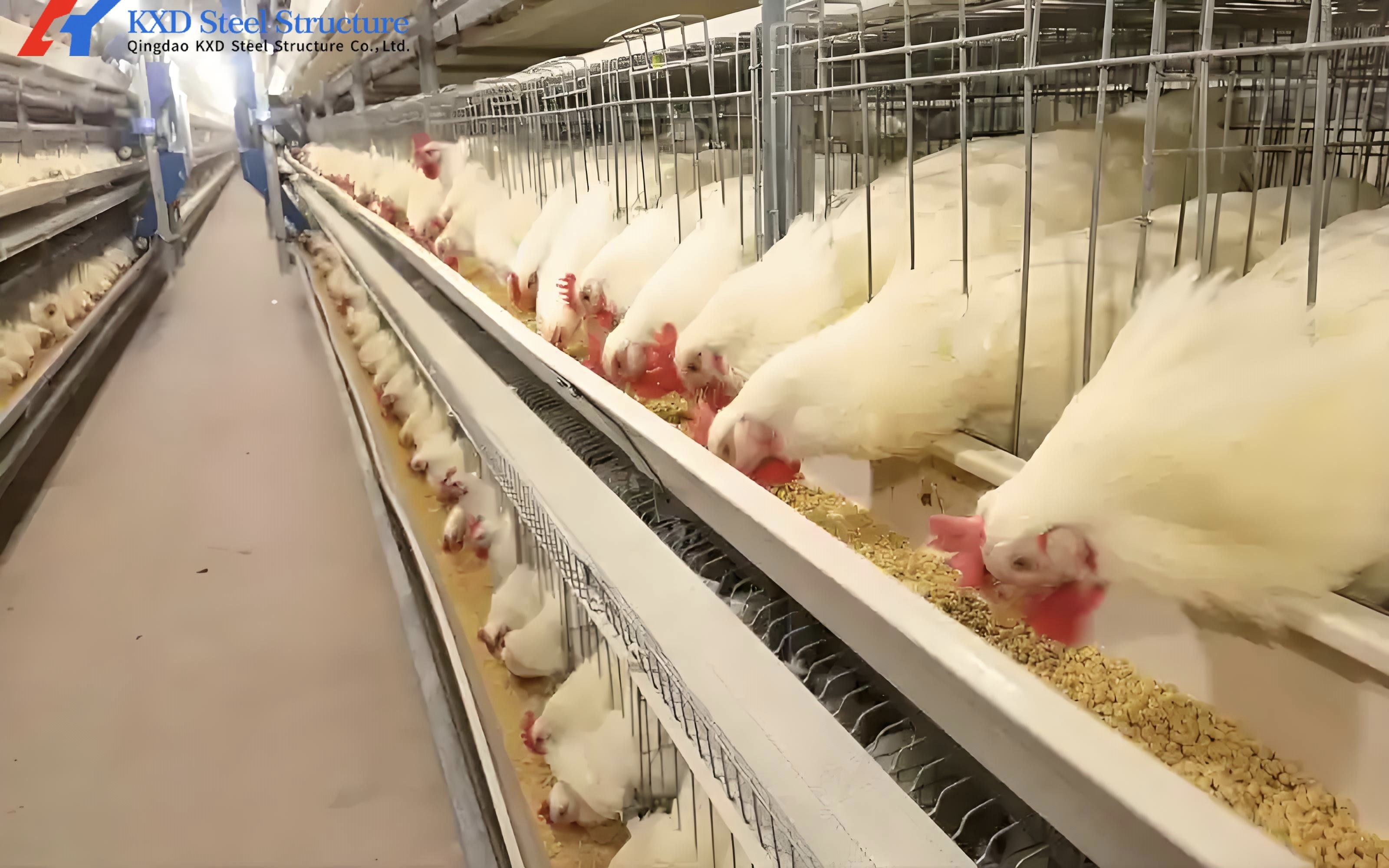 KXD Prefabricated Agricultural Steel Frame Building Warehouse Workshop For Chicken Farm