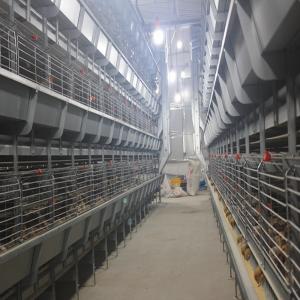 Quality Galvanized Broiler Battery Chicken Cage Poultry Farm Equipment For Meat Chicken wholesale