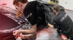 Paint Protection Film 7.5mil TPU Anti-scratch Anti-yellow Hydropbicity Self