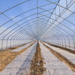 Indoor Hydroponic Tropical Area Polytunnel Sawtootch Greenhouse With Cooling