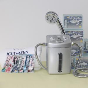 Quality Adjust Temperature Oxygen Rich Spa Shower System wholesale