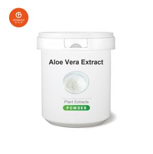 Quality Pure and Safe Aloe Vera Extract Powder for Medicinal Purposes wholesale