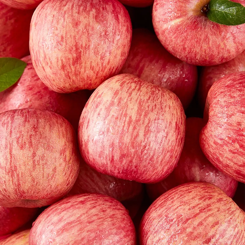 90% Maturity Fresh Fuji Apple Best and Common Cultivation Type