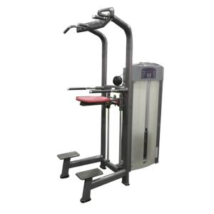 Quality Life fitness gym workout equipment,assist dip chin exercise machine with wooden cases package wholesale