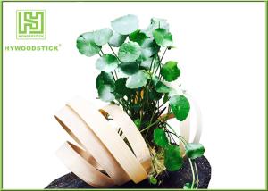 Quality Unique Bamboo Plant Pot Hanging Flower Box , Bamboo Flower Containers Customized Handle wholesale
