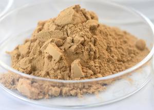 Quality Main Enzymes 50000-100000U/G Food Grade Neutral Protease OEM ODM wholesale