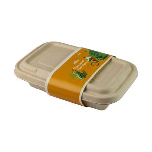Quality Biodegradable Sugarcane Bagasse Food Container Fast Food Take Away Bamboo Reed wholesale