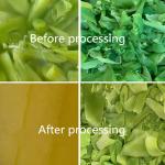 SUS304 Commercial Hydraulic Cold Press Juicer for Fruit and Vegetable Juice