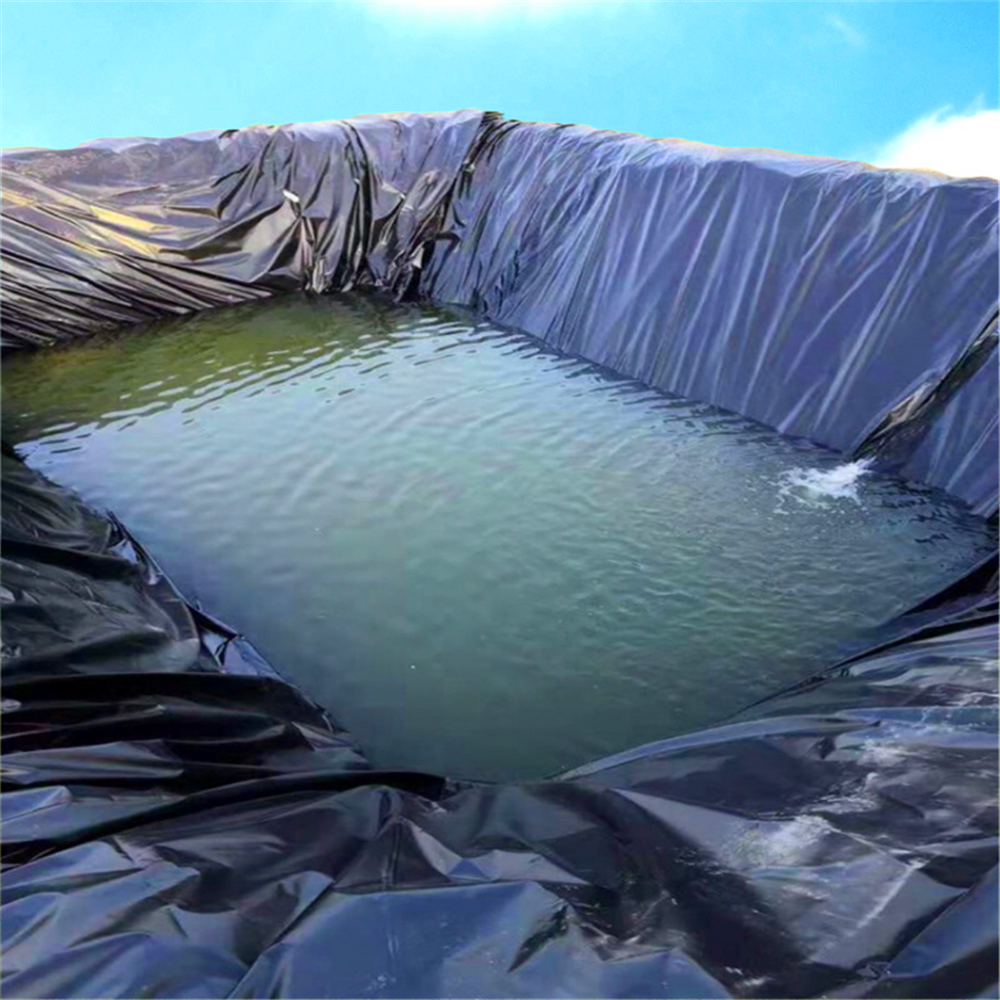 Industrial HDPE Geomembrane 0.2mm -3mm for Waste Purification in 's Industrial Sector