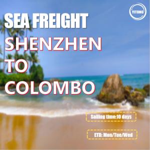 Quality Shipping Agent From Shenzhen to Colombo Sri Lanka wholesale
