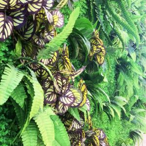 Quality Decorative Garden Artificial Green Walls UV Resistant 40mm wholesale