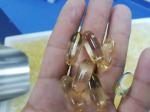 Canabis Oil Soft Gelatin Encapsulation Machine For Pharmaceutical Enterprises