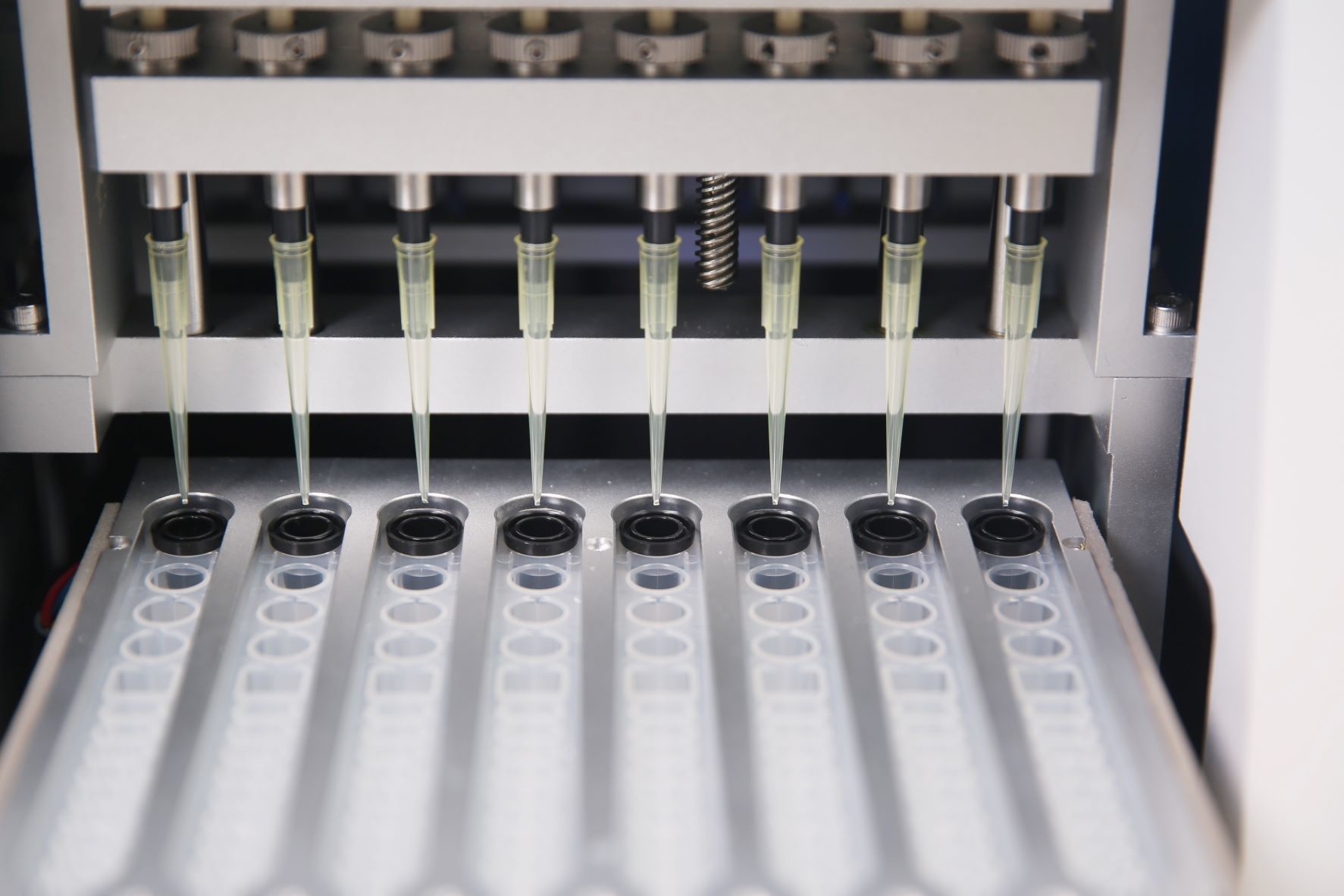 Neurofilament Protein (N-F) —AD7c-NTP in Fully Automated Immunoassay Analyzer IVD Reagents for POClia