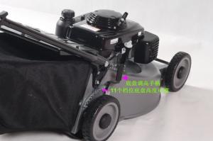 Quality self propelled 5.5HP Hand Push Electric Corded Lawn Mower 163CC 3 Years Warranty wholesale