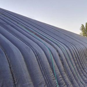 Quality Agriculture Farming Solar Hydroponic Greenhouse Passive Solar wholesale