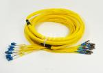 24 Core Distribution Jumper Optical Fiber Patch Cord , Fiber Optic Patch Cords