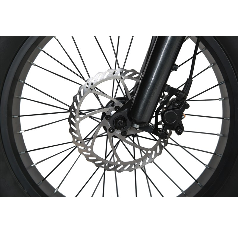 Customized Vintage Electric Bike with Lithium Battery 48V 750W Mid Drive Motor E-Bike
