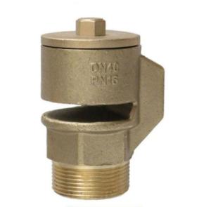 Quality 1/2'' Brass Vacuum Break Valve Male Thread Anti-Vacuum Negative Pressure Of Pipeline,Tank wholesale