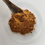 Villous Amomum Fruit Extract/villous amomum fruit
