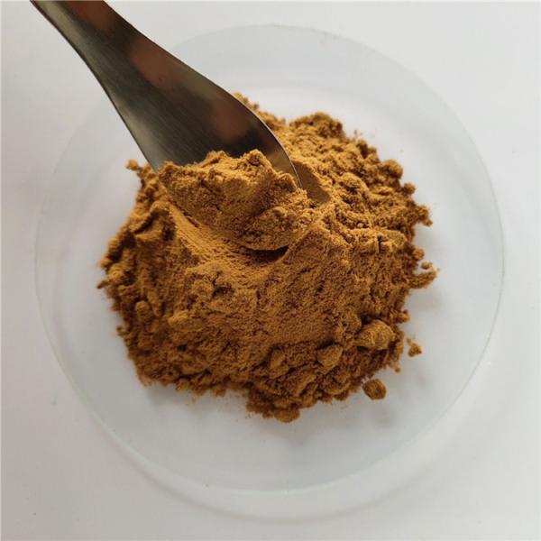 Villous Amomum Fruit Extract/villous amomum fruit