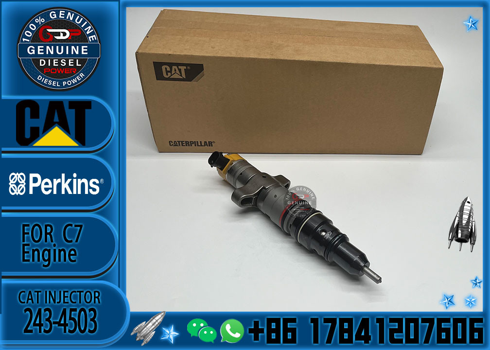 Diesel Engine Parts Common Rail Fuel Injector 243-4503 for CAT C7 Diesel Engine CNDIP Factory price