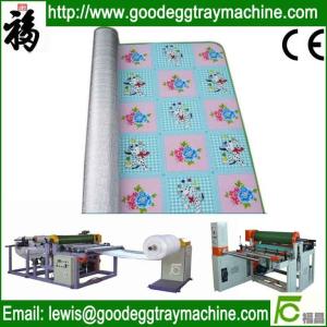 Quality EPE/PP/EVA Foam Sheet Laminating Machine wholesale