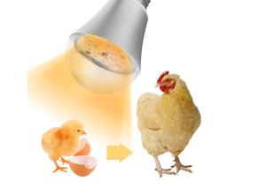 Quality Chicken Farm Waterproof LED Illumination Lights Dimmable 9W wholesale