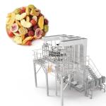 Auto Stand Up Pouch Doypack Weighing Packing Granule Peanut Cashew Nuts