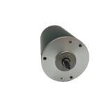Robust Brushed DC Motor
