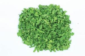 Quality Dried Spinach wholesale