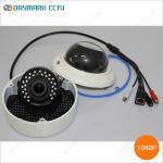 Waterproof Megapixel Dome Camera 2.8-12mm Lens 1080p