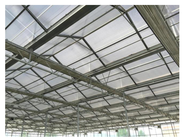 Multi-Span Agricultural Greenhouses for Sustainable Fruits and Vegetables Cultivation