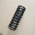 Inlet Exhaust Valve Spring 04902197 0490 2197 4902197 For Volvo TCD2013 4V TRUCK