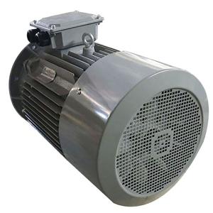 Quality Brushless AC Three Phase Induction Motor 15KW 20HP 380V 400V 3000RPM Y2-160L-4 wholesale