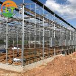Stable Structure Glass Greenhouse for Growing Vegetables Tomato Skeleton