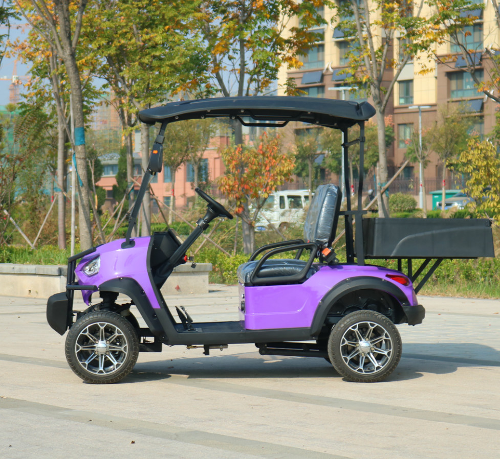 Automatic Lightweight Golf Cart Accessories 72V 5KW AC System Golf Buggy