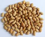 Kosher Halal Certified Coated Roasted Spicy Yellow Edamame Soya Bean Snacks ISO