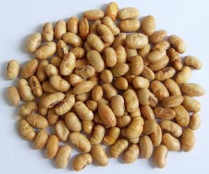 Quality Kosher Halal Certified Coated Roasted Spicy Yellow Edamame Soya Bean Snacks ISO Approved wholesale