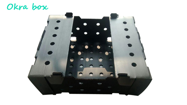 PP Corrugated plastic box vegetable fruit box