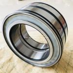 INA Cylindrical Roller Bearings SL045026-PP-RR-GA22