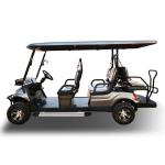 ODM Electric Hunting NEV Golf Cart Manufacturers High Performance 360kg