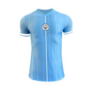 Quality Customized Logo Printing Player Version Jersey S-2XL Size Polyester Material wholesale